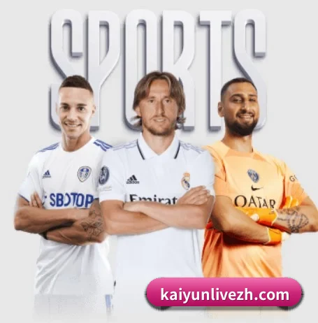 Kaiyun APP 界面